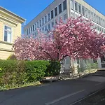 Hellowine Ii Appartement