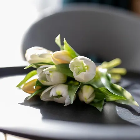 Apartment Hellowine Ii